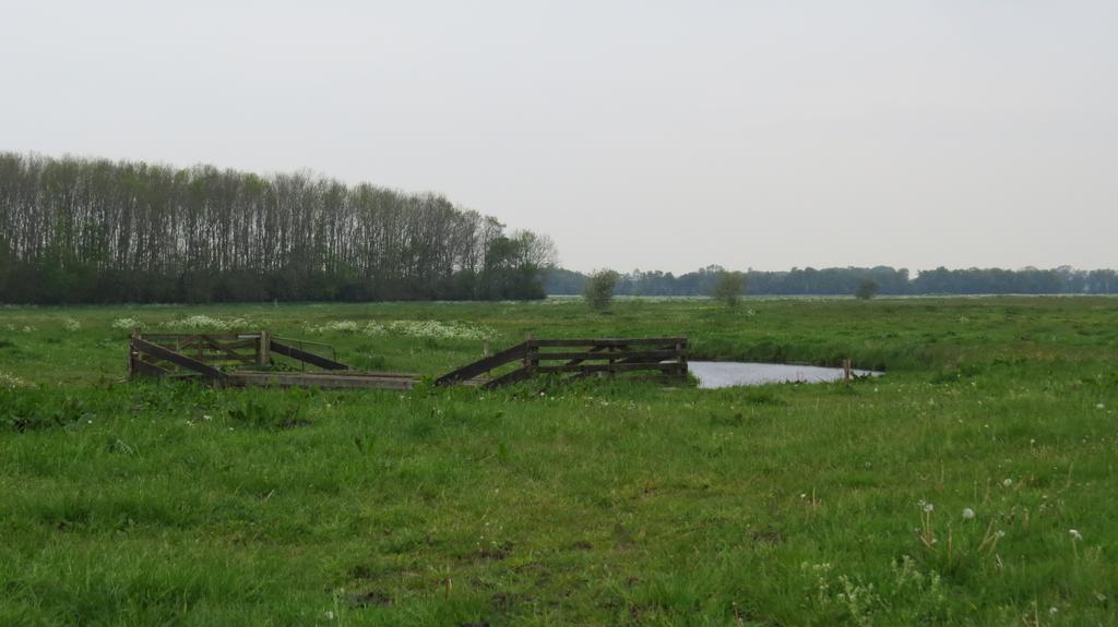 'T Zwanemeer Gieten Kültér fotó