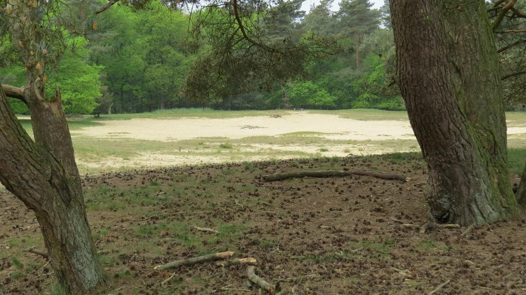 'T Zwanemeer Gieten Kültér fotó